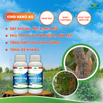 NANO BẠC: SÁT KHUẨN, TẨY RONG RÊU, TĂNG ĐỀ KHÁNG