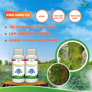 NANO CU: TẨY RONG RÊU, LÀM LÀNH VẾT THƯƠNG