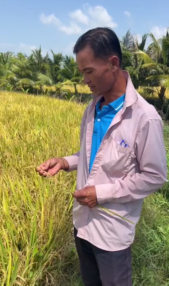 Anh Chiến – Tam Bình, Vĩnh Long