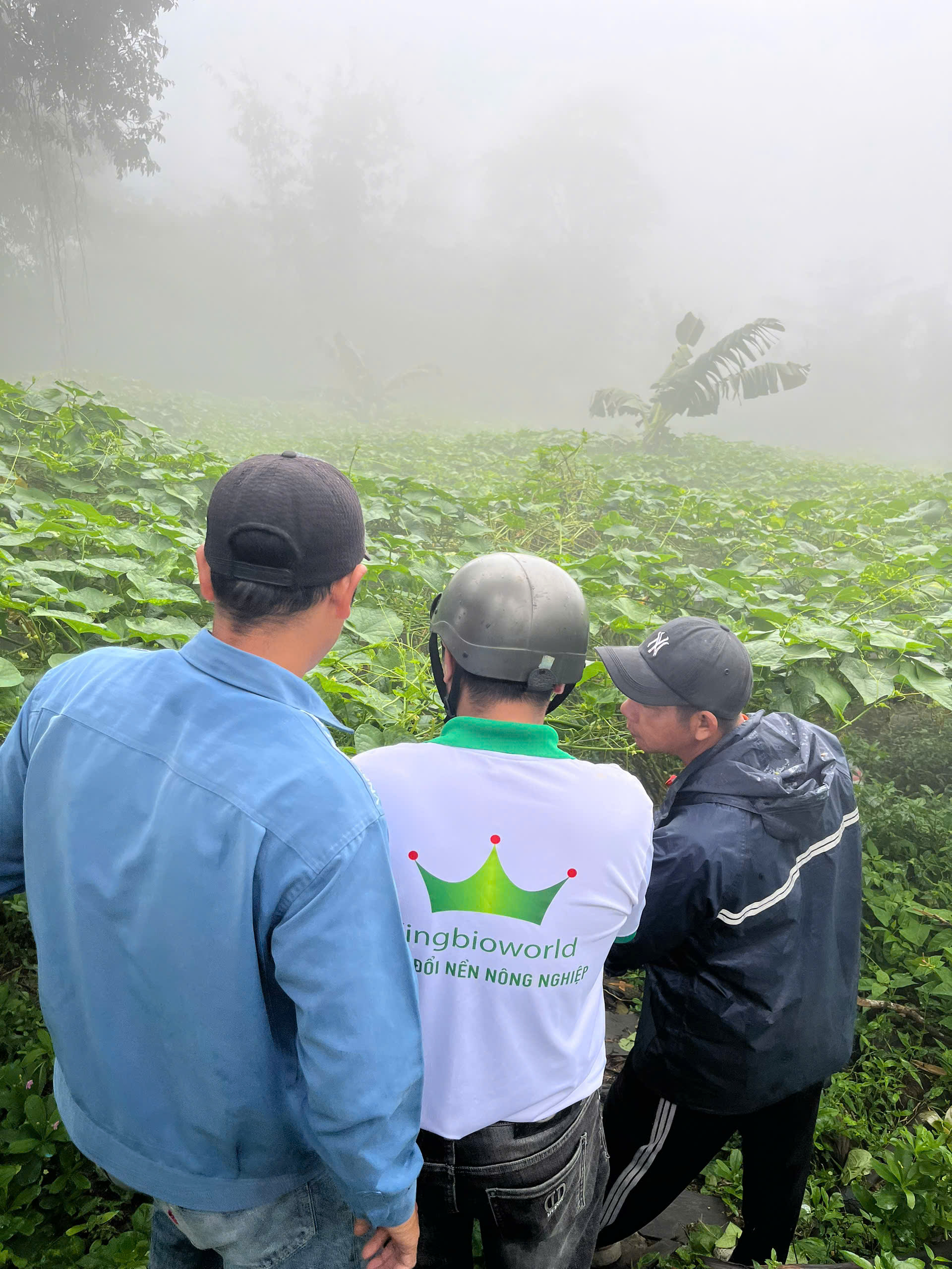 Anh Lộc – Núi Cấm, An Giang