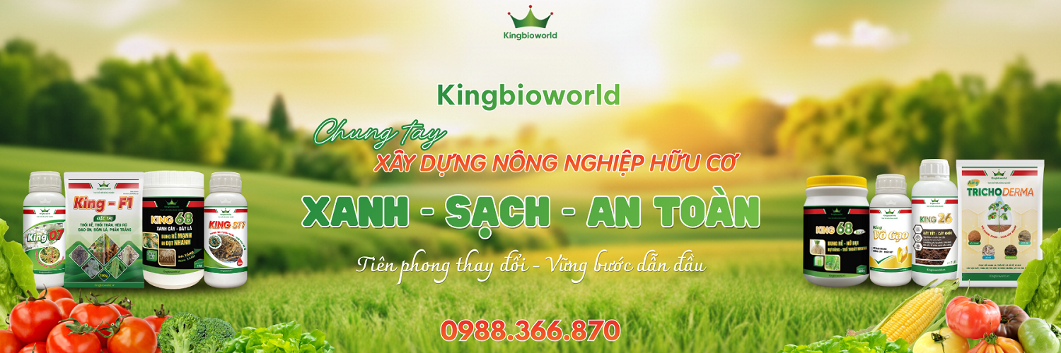 Banner Trang Chủ
